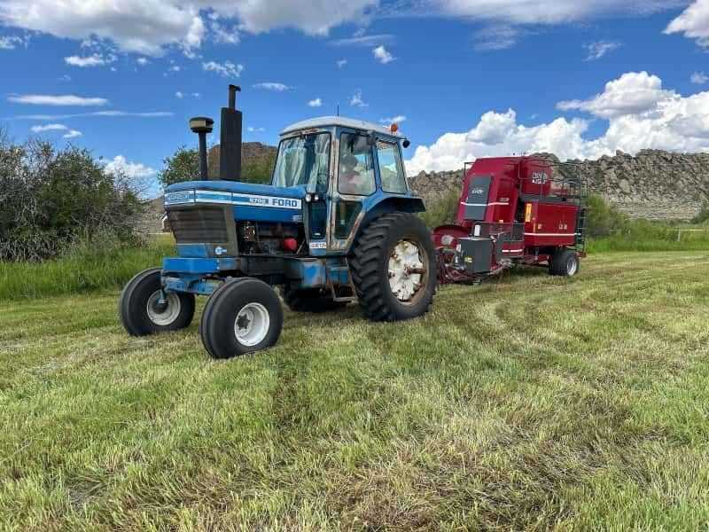 The Hay Barn 365 Hay Company
