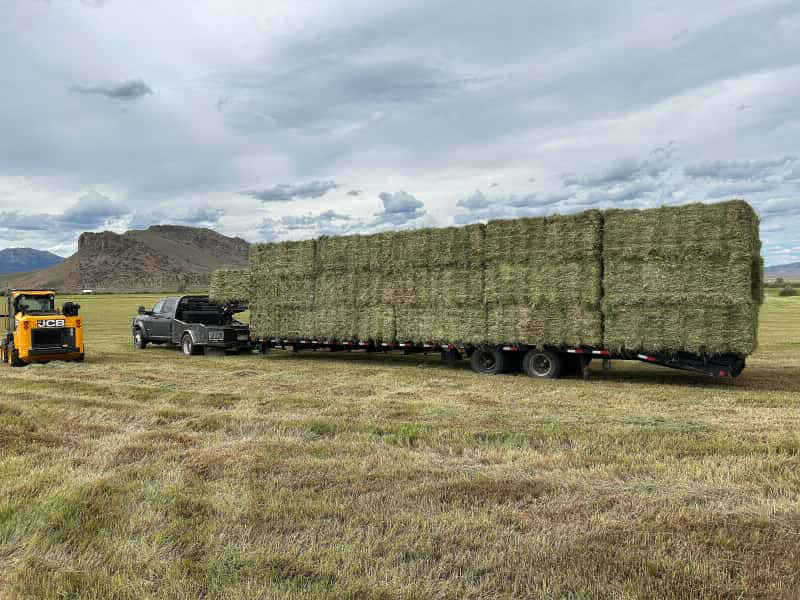 The Hay Barn 365 Hay Company