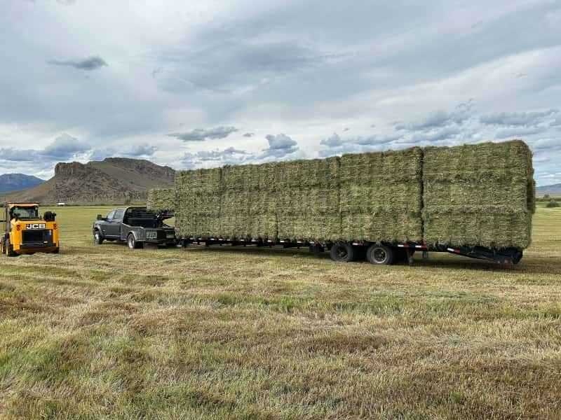 The Hay Barn 365 Hay Company