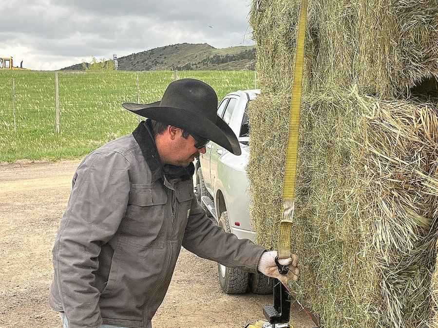 Cody at 365 Hay Company, Littleton CO