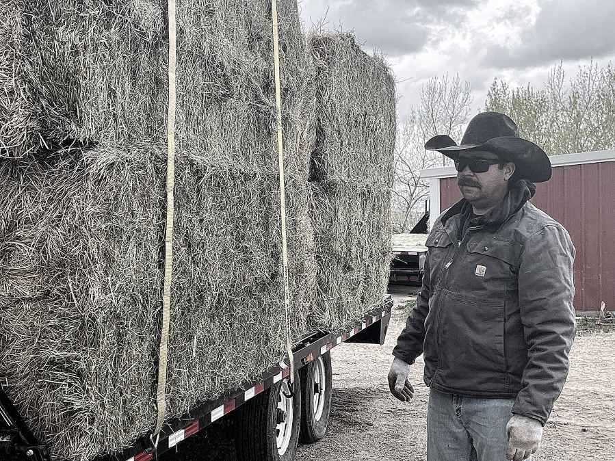 The Hay Barn 365 Hay Company