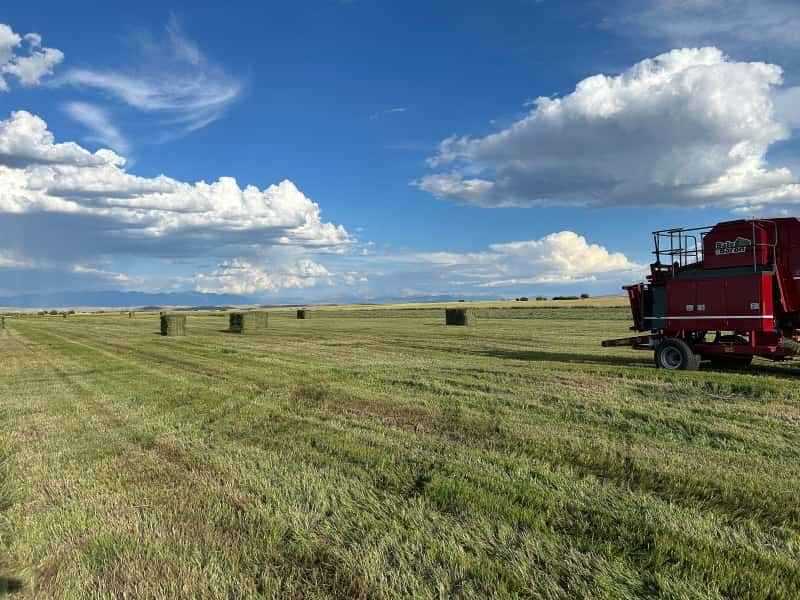 The Hay Barn 365 Hay Company