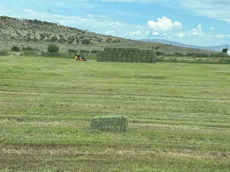 The Hay Barn 365 Hay Company