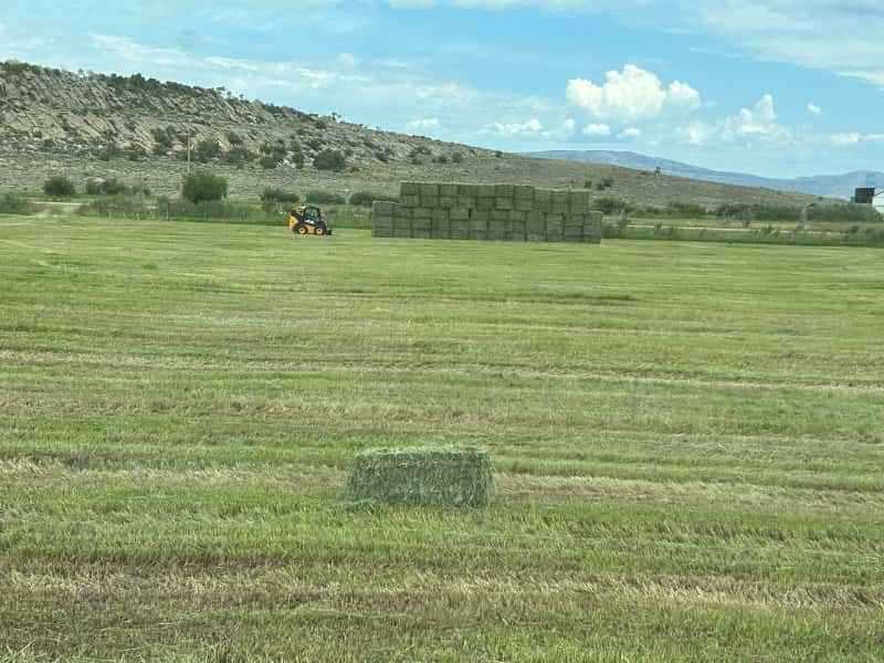 The Hay Barn 365 Hay Company