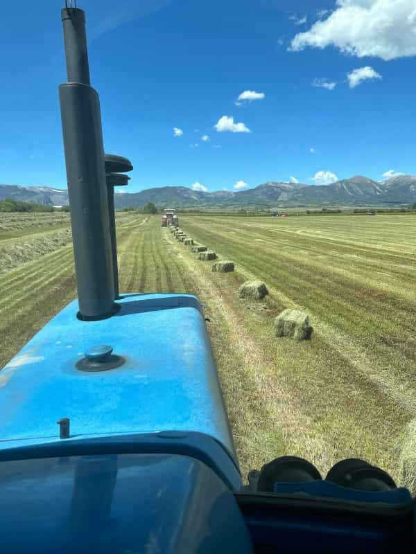 The Hay Barn 365 Hay Company