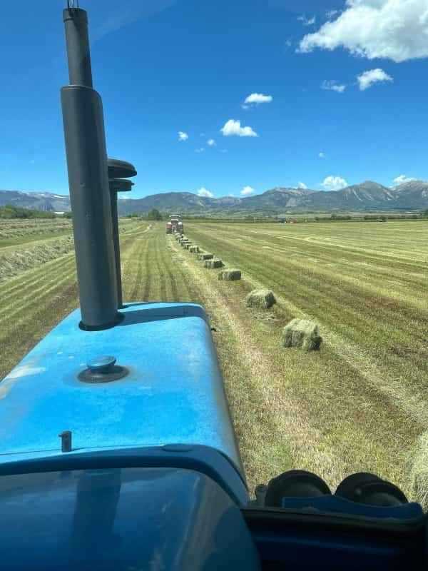 The Hay Barn 365 Hay Company